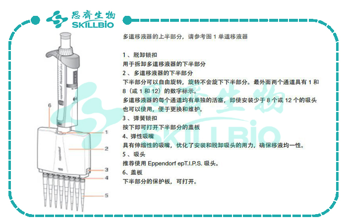 Eppendorf-8道-结果.jpg